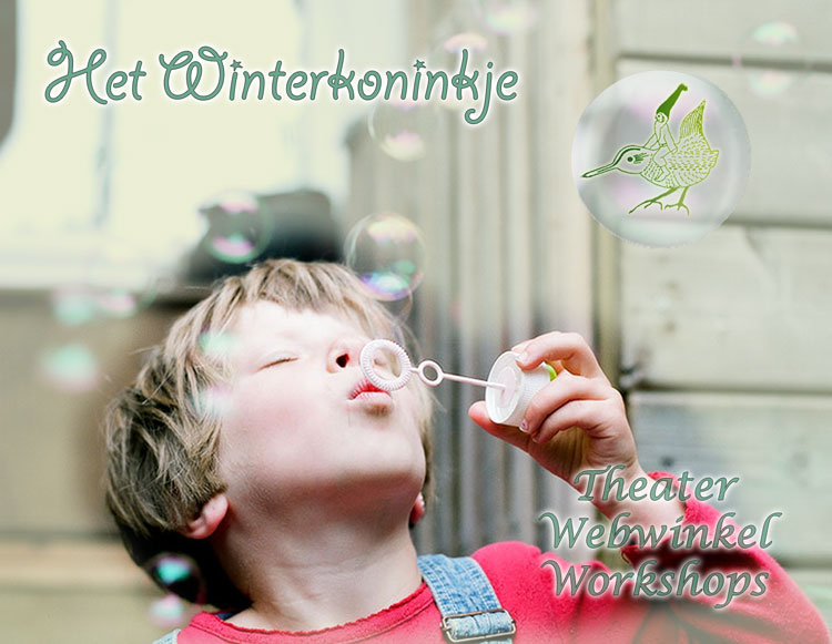 Het Winterkoninkje
